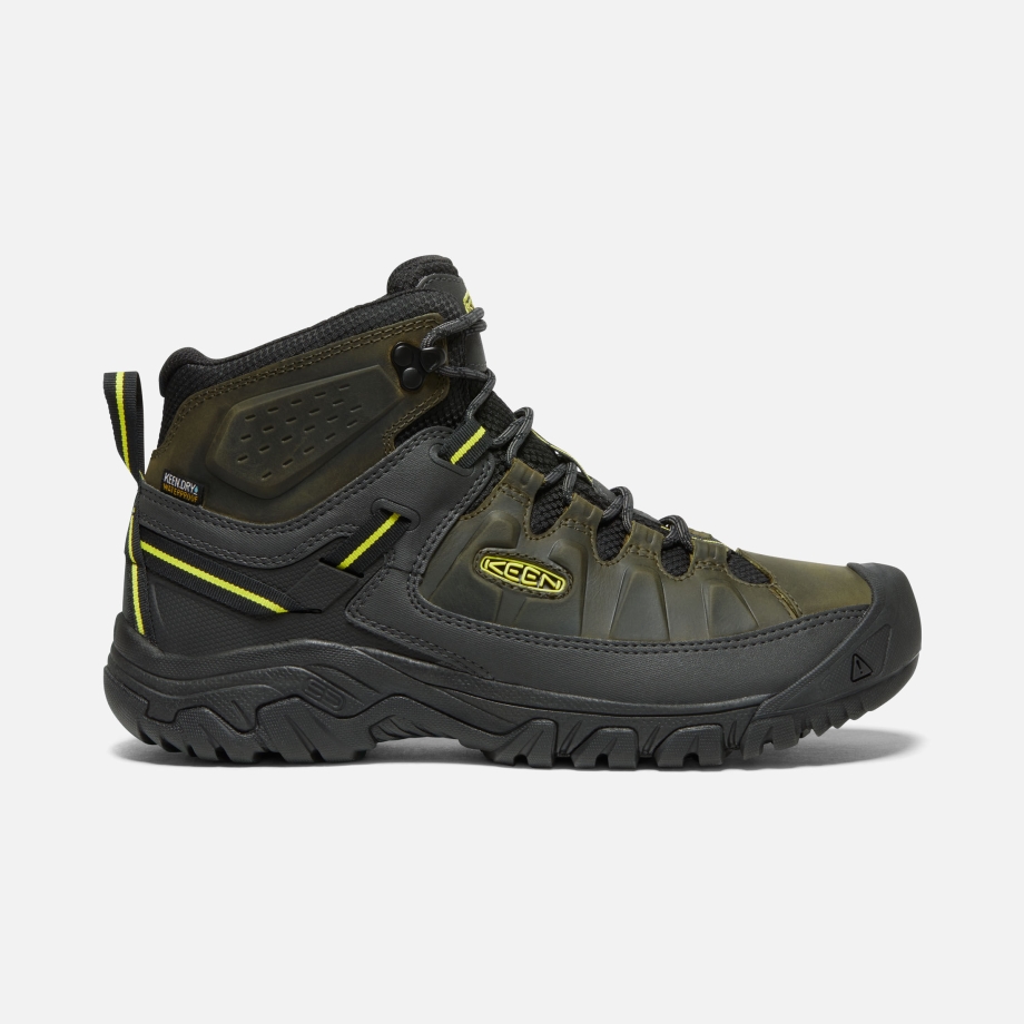 Botas De Caminhada à Prova D'água Targhee Iii Masculinas Floresta Noite Prímula Tutu - Image 1